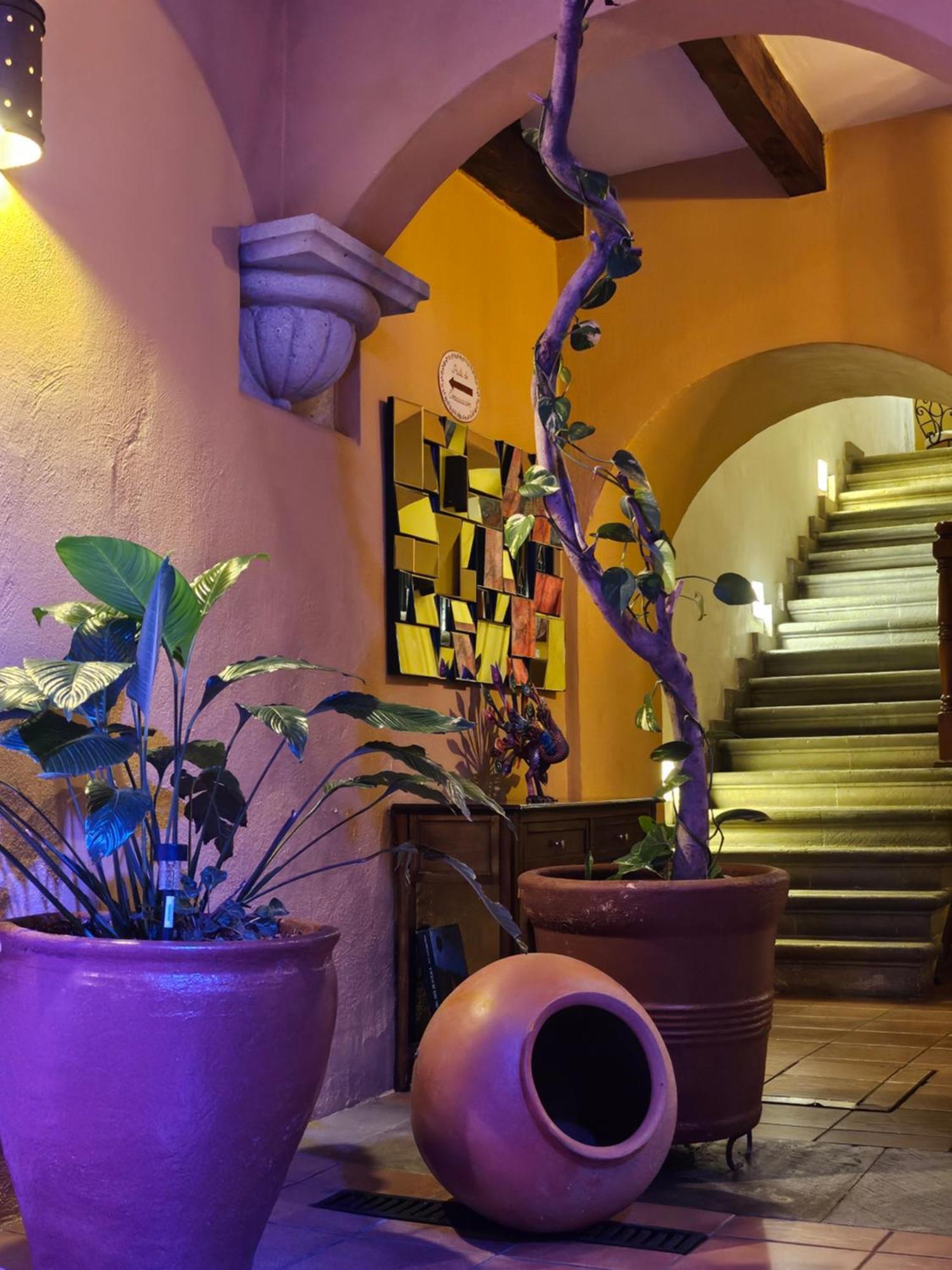 Hotel Casa Divina Oaxaca Exterior photo